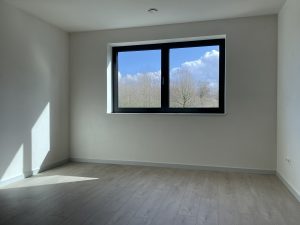 19 20230325_140652072_iOS